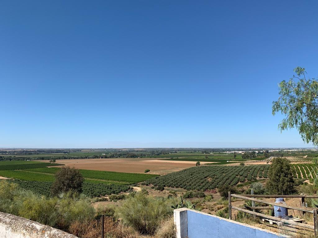 For sale of rural property in Alcolea del Río