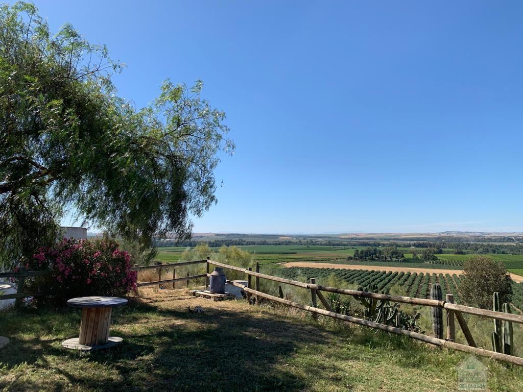 For sale of rural property in Alcolea del Río