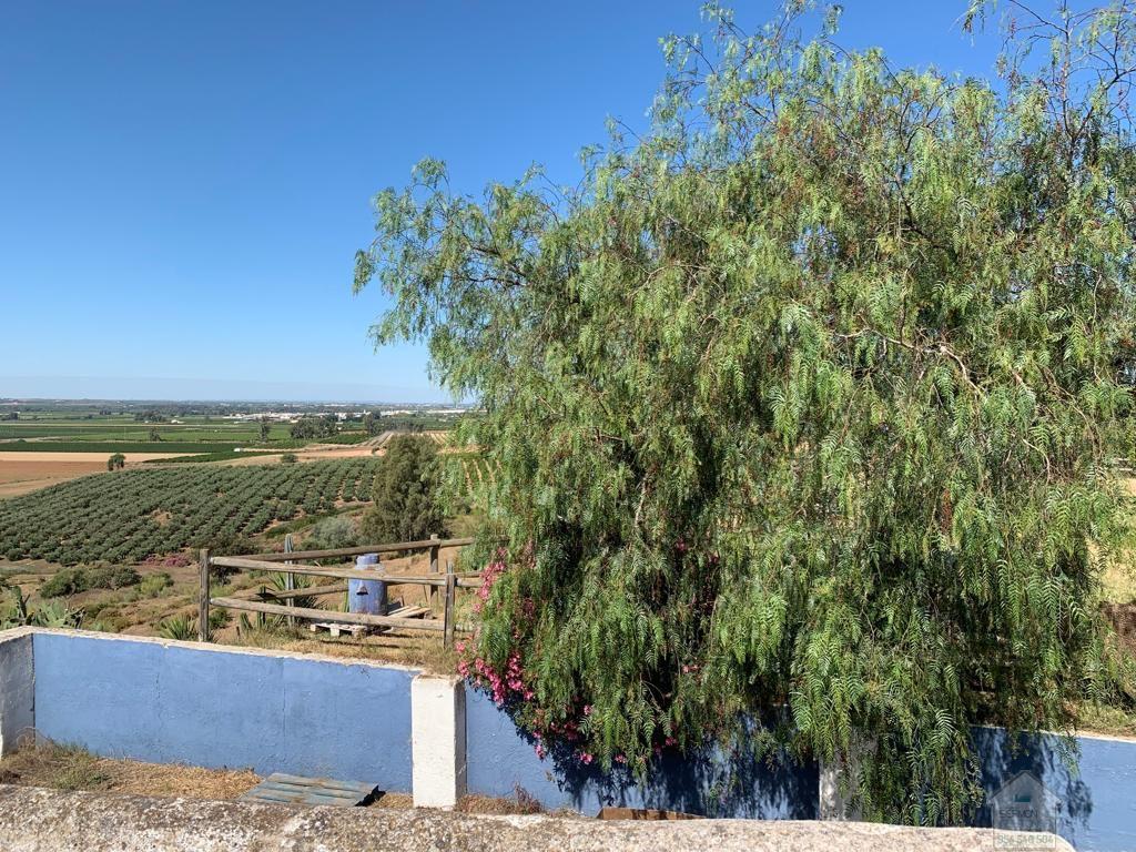 For sale of rural property in Alcolea del Río