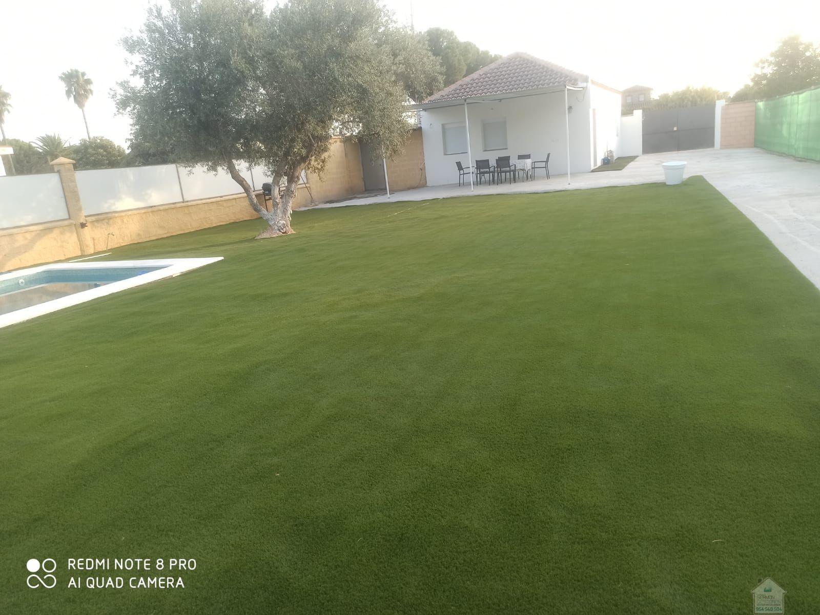 For rent of land in Carmona