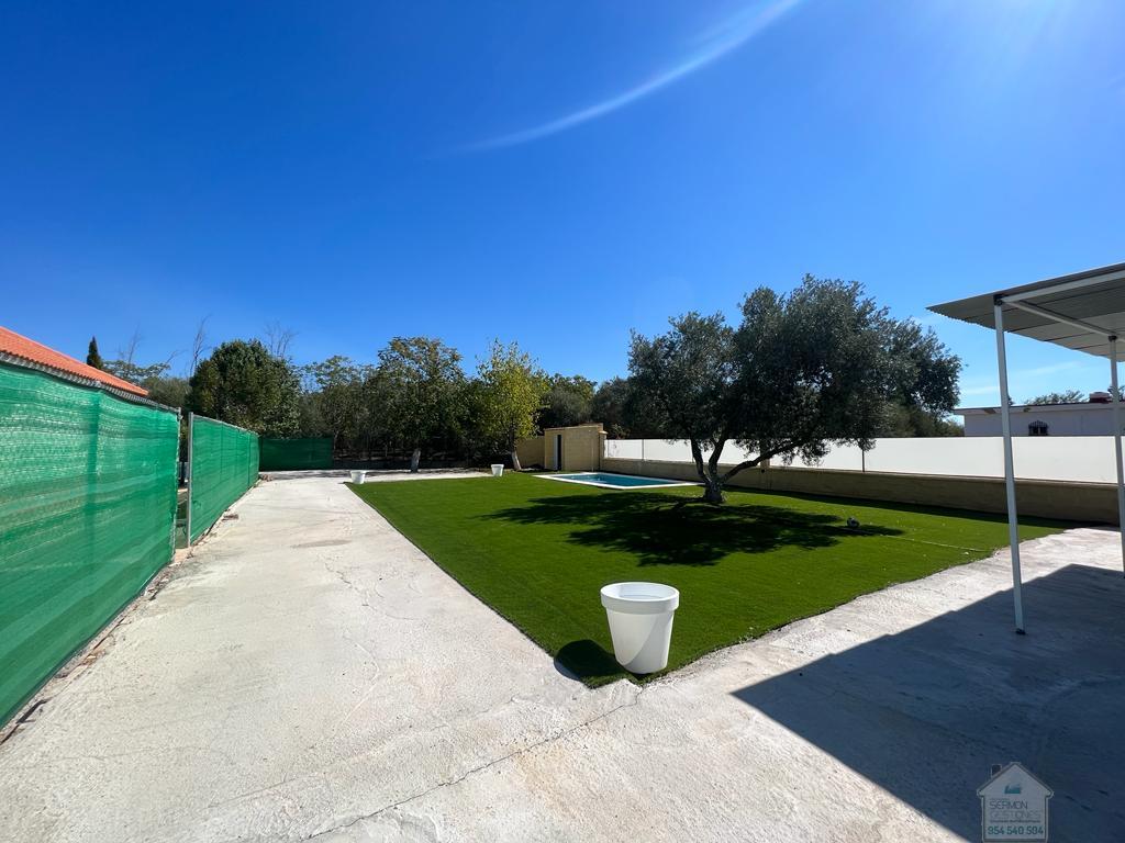 For rent of land in Carmona