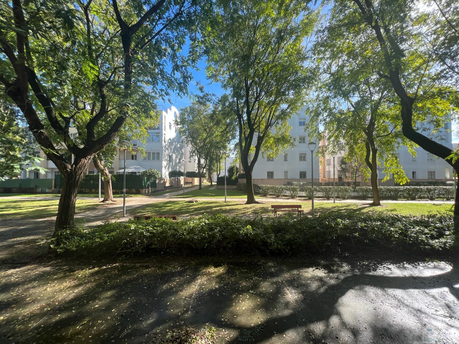 Alquiler de piso en Mairena del Aljarafe