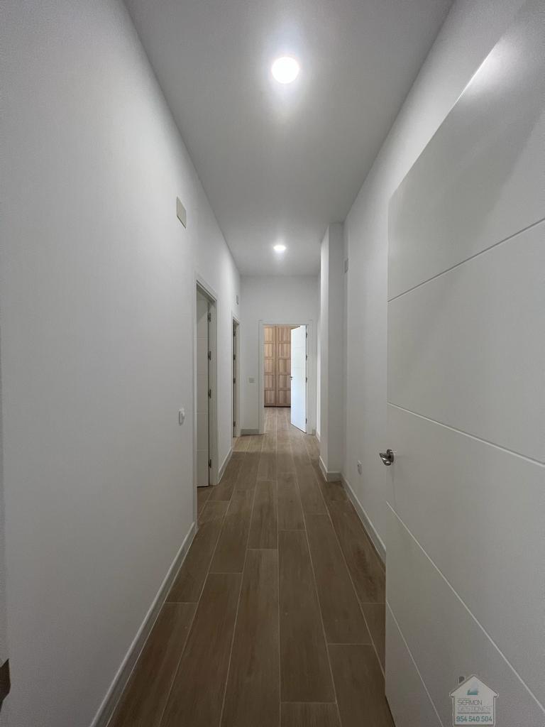 For rent of land in Alcalá de Guadaíra