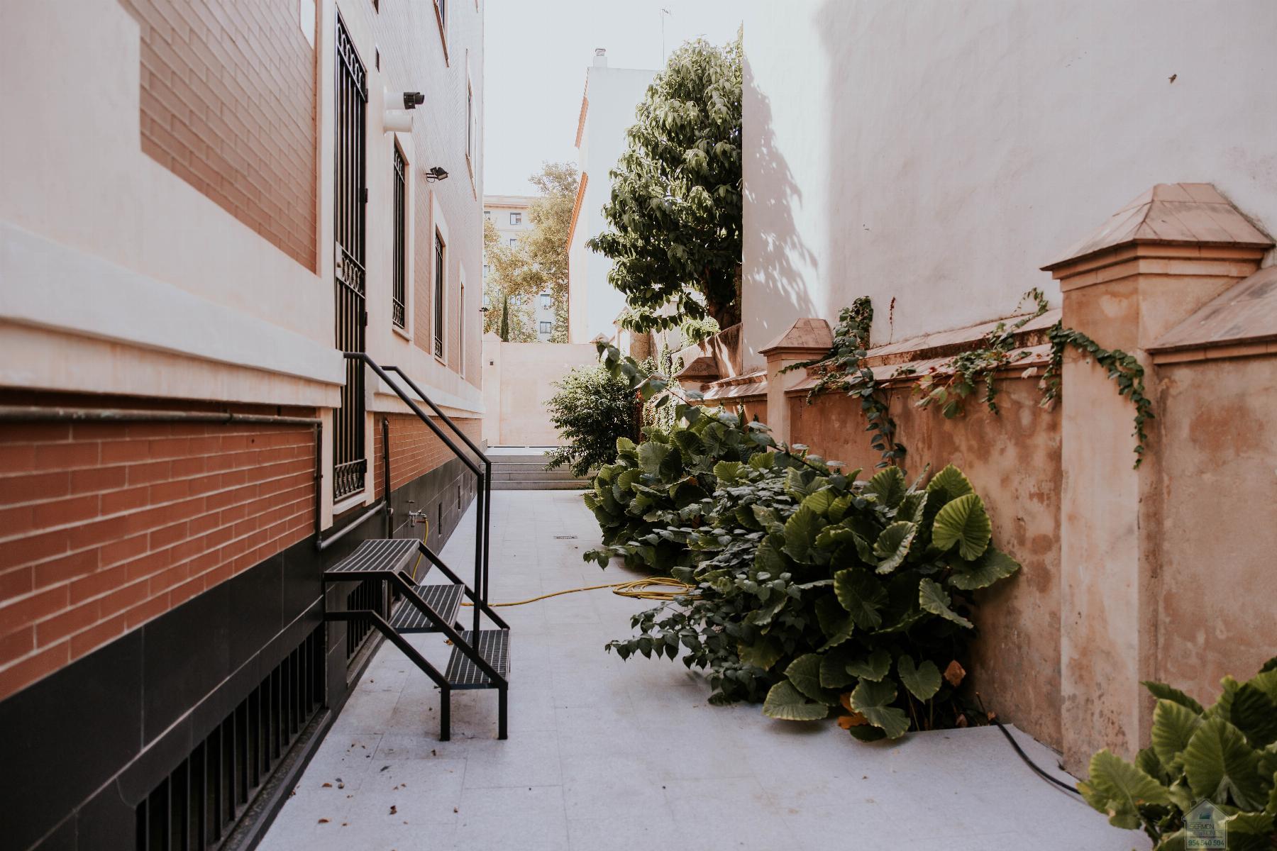 For rent of flat in Sevilla