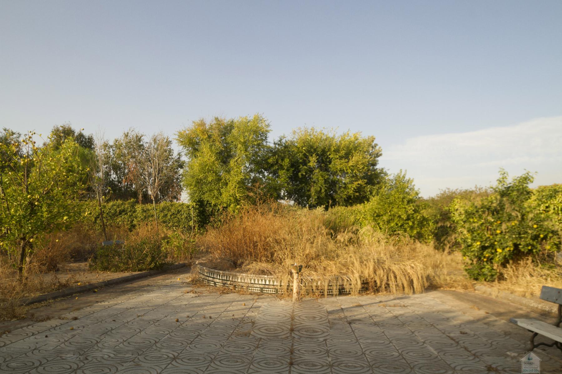 Venta de chalet en Umbrete