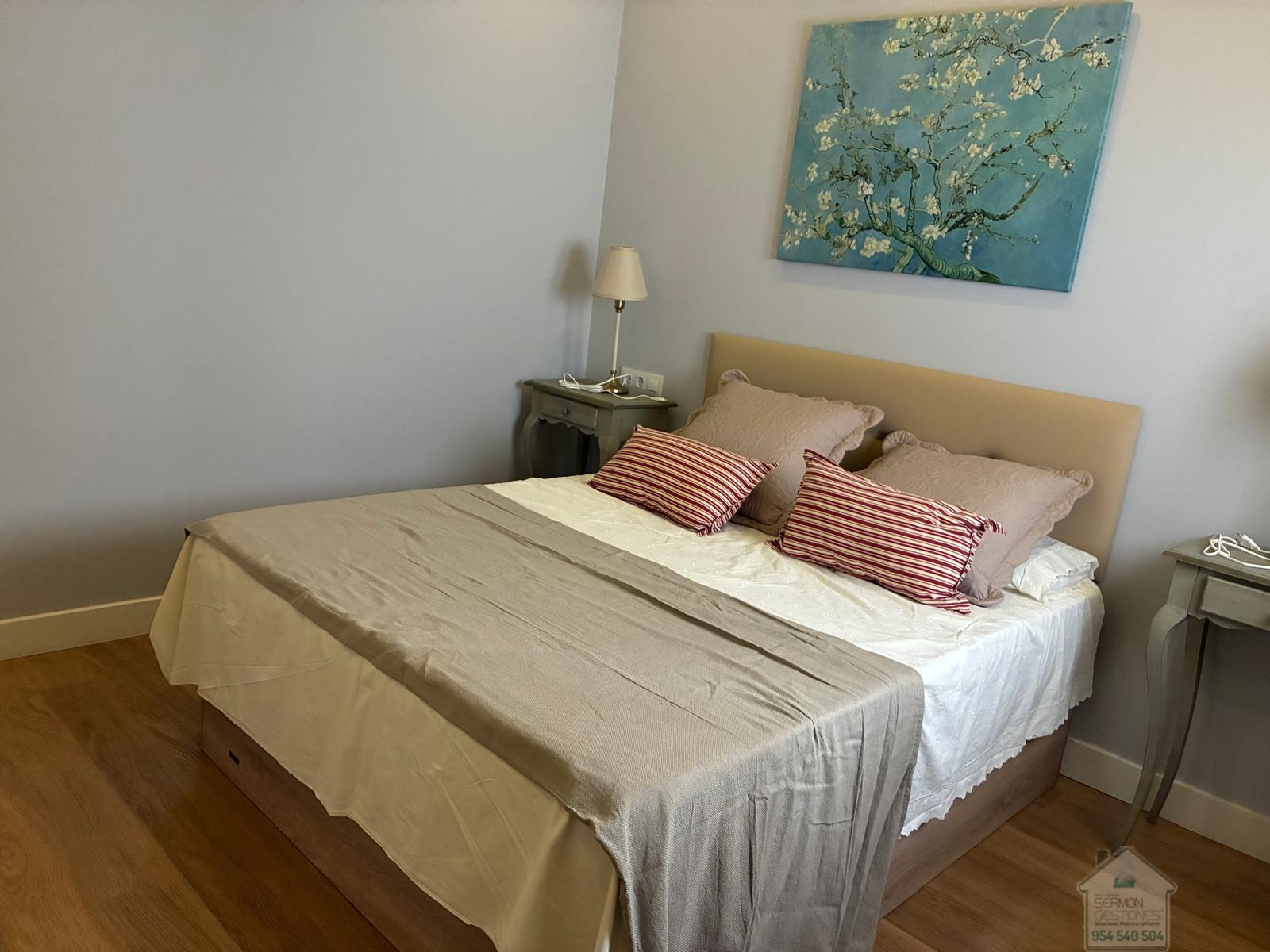 For rent of flat in Sevilla
