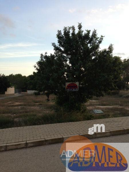For sale of land in Fortuna