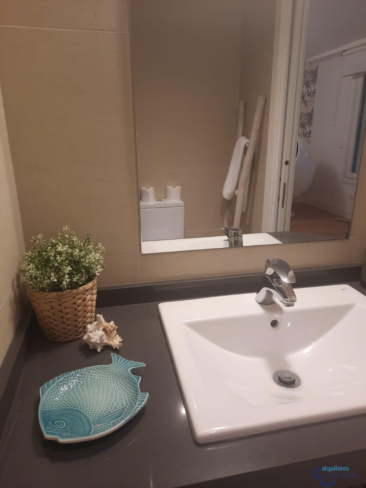 Alquiler de estudio en Donostia-San Sebastián