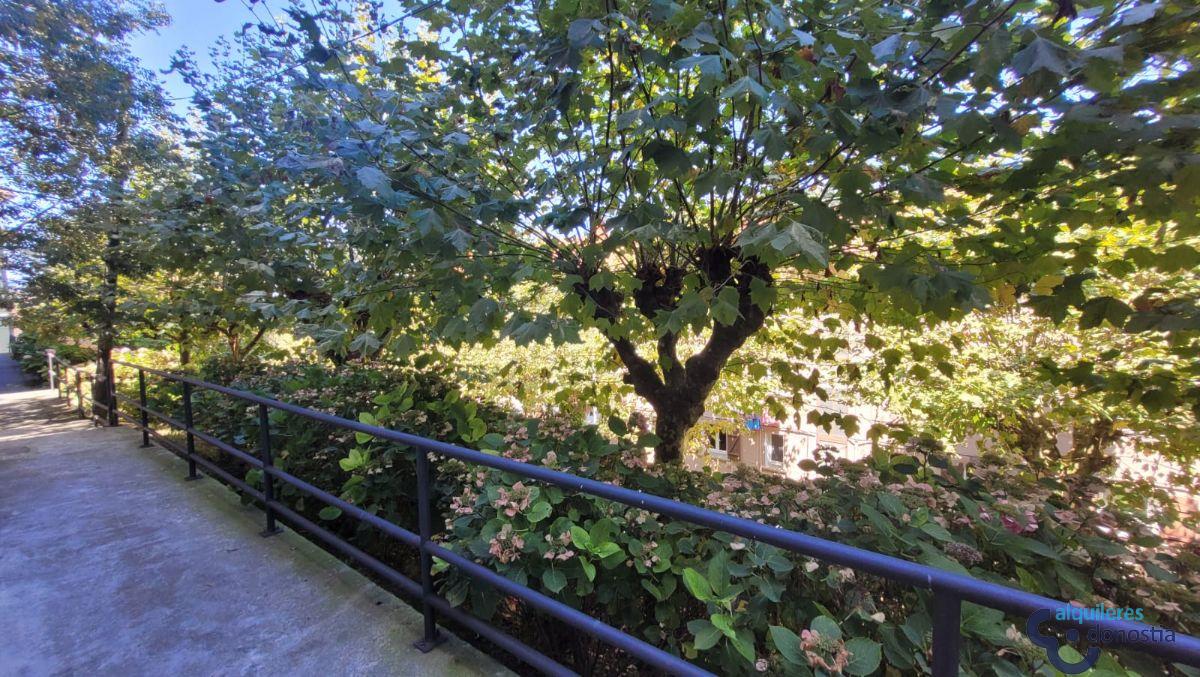 Alquiler de piso en Donostia-San Sebastián