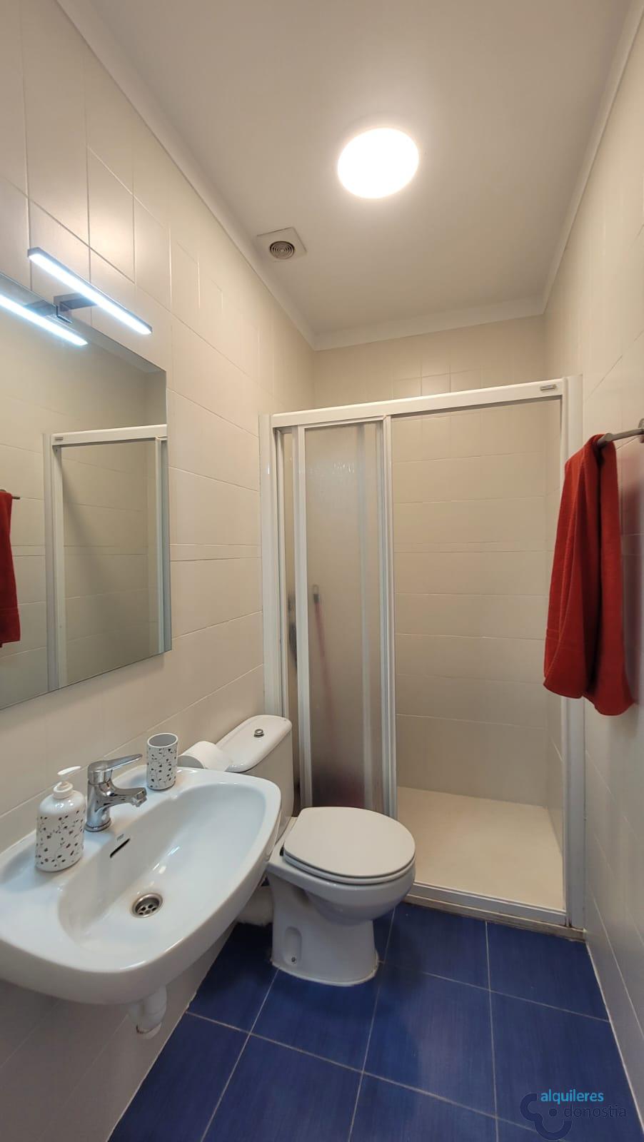 Alquiler de piso en Donostia-San Sebastián