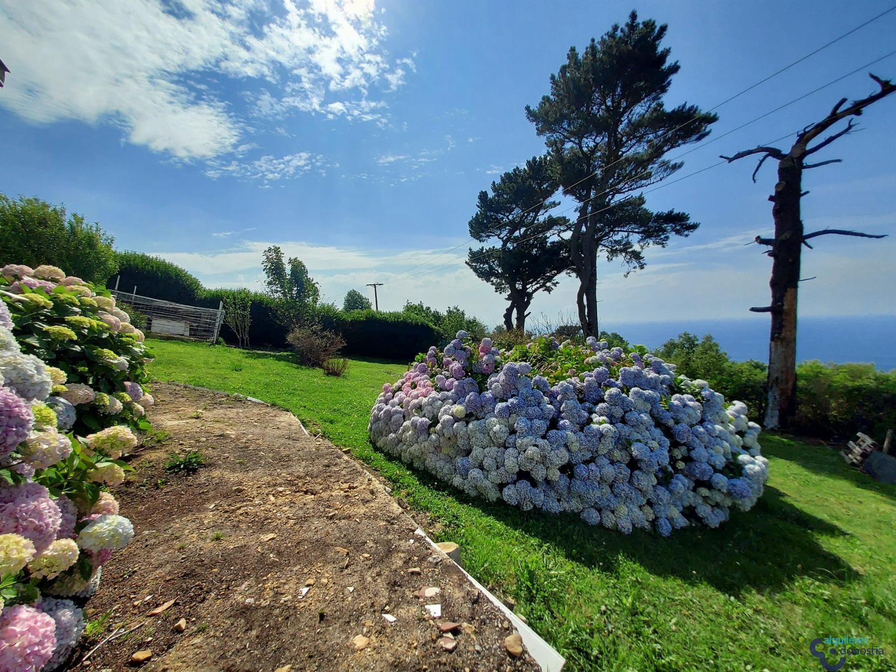 For rent of apartment in Donostia-San Sebastián