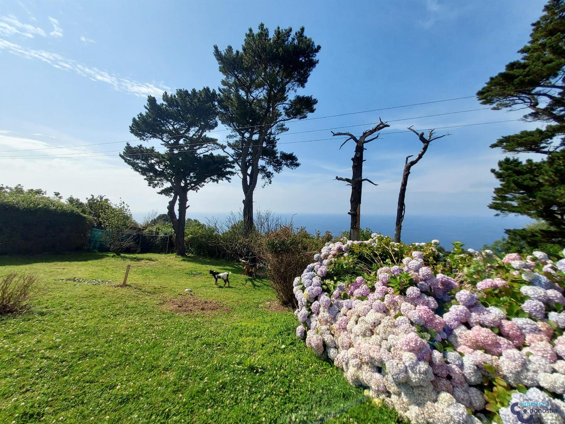 For rent of apartment in Donostia-San Sebastián