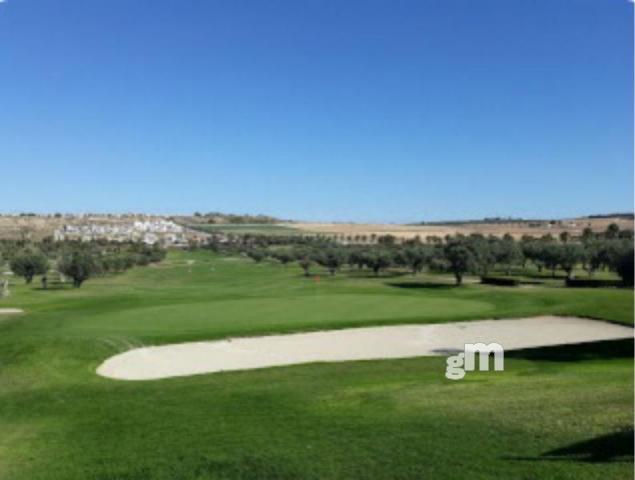 For sale of villa in Algorfa