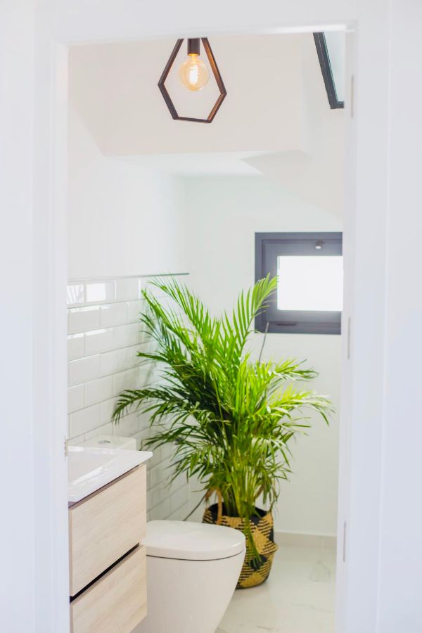 Venta de chalet en Los Montesinos Venta de chalet en Los Montesinos