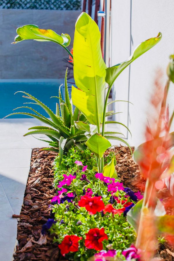 Venta de chalet en Los Montesinos Venta de chalet en Los Montesinos