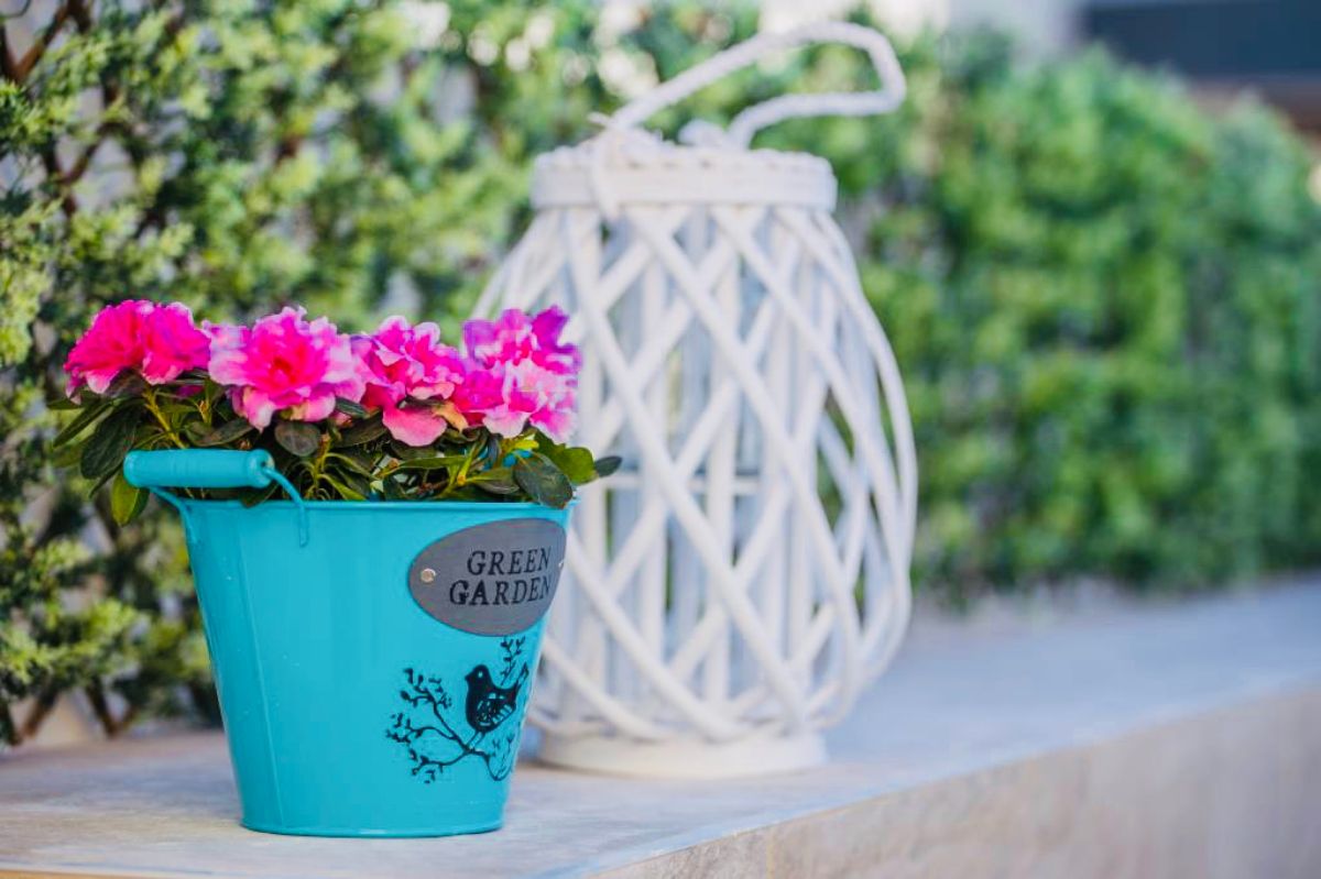 Venta de chalet en Los Montesinos Venta de chalet en Los Montesinos