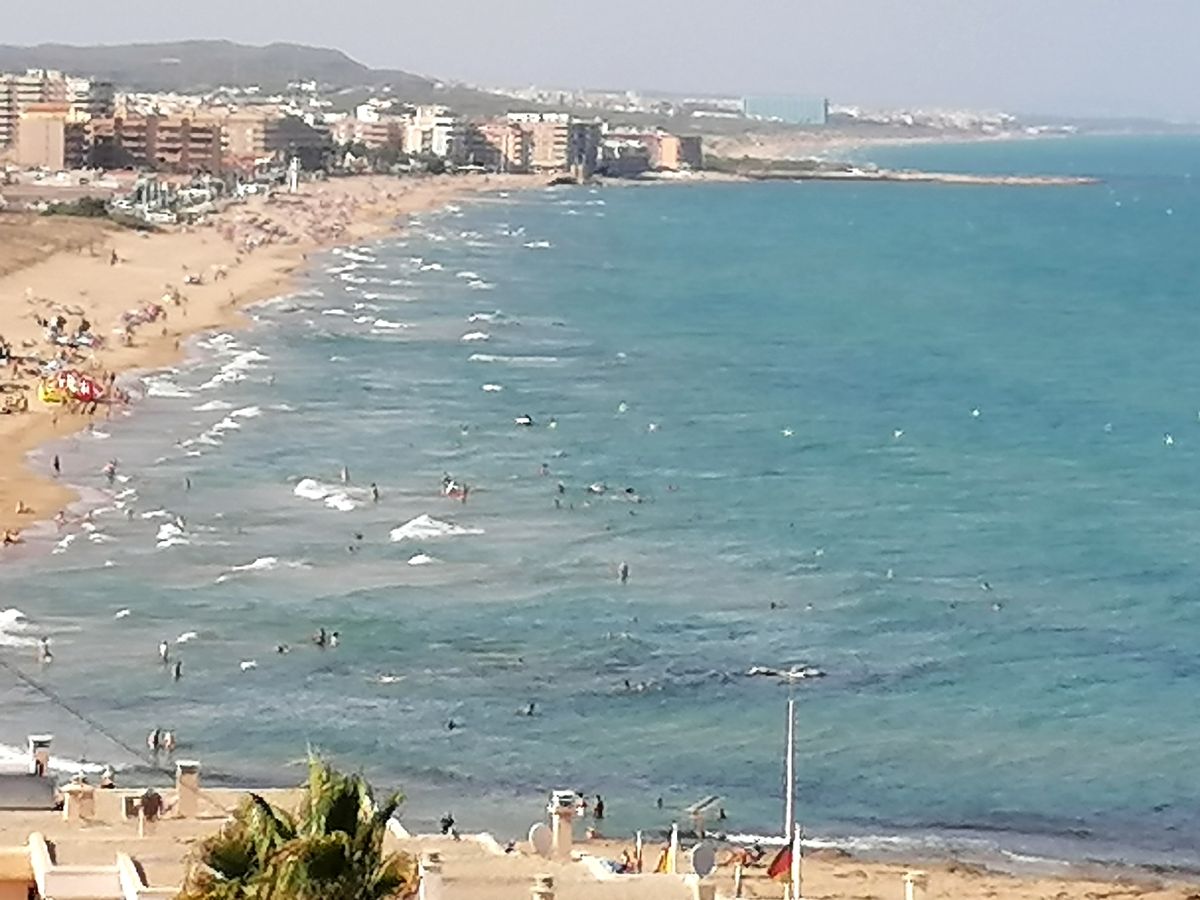 For sale of chalet in Torrevieja