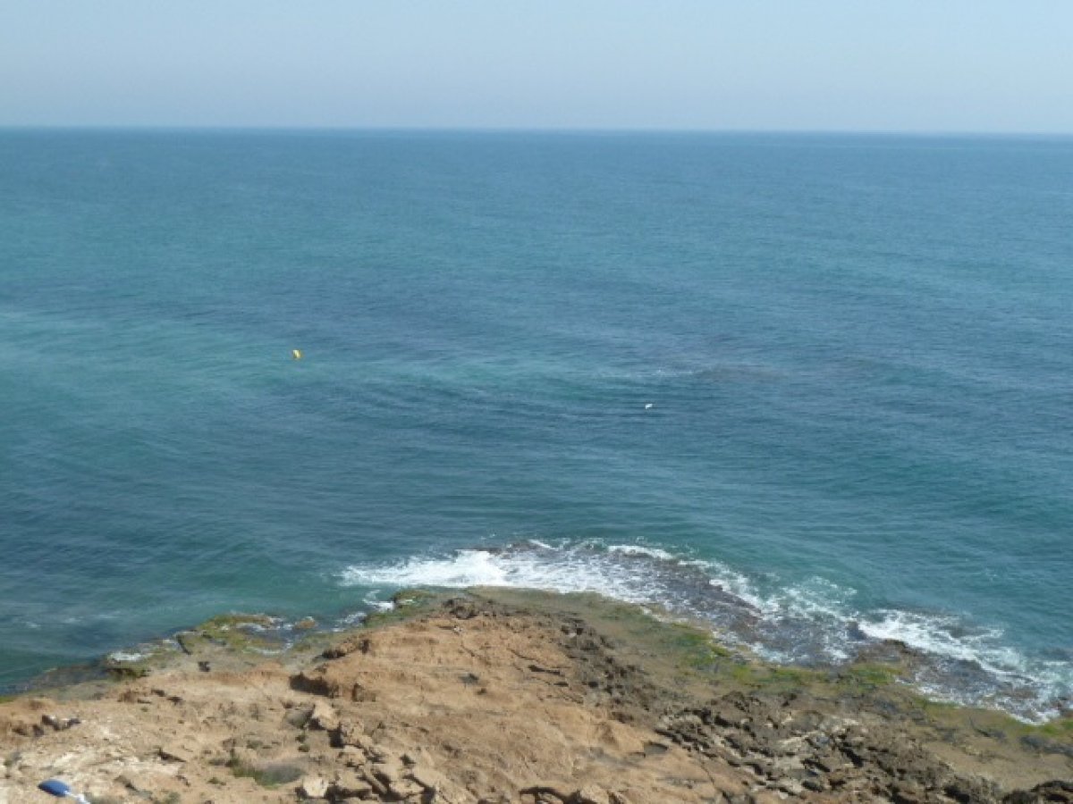 Vistas