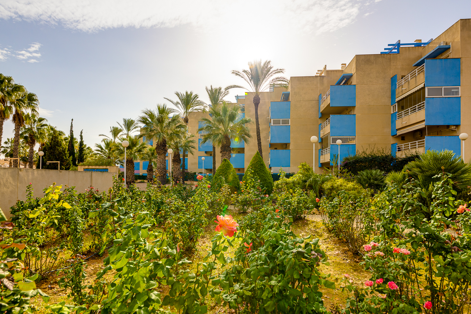 For sale of penthouse in Orihuela Costa