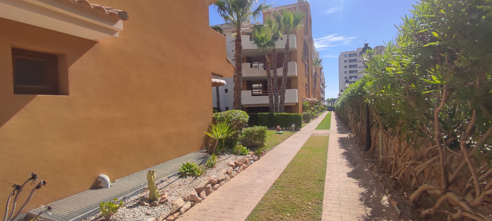 For sale of penthouse in Torrevieja