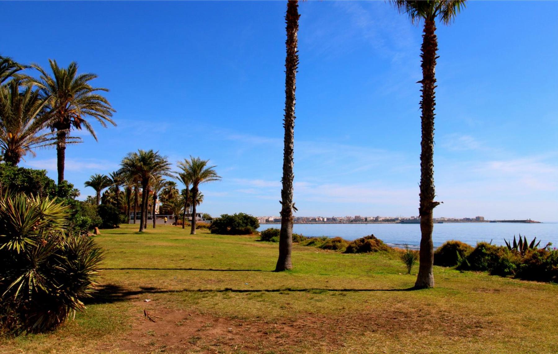 For sale of penthouse in Torrevieja