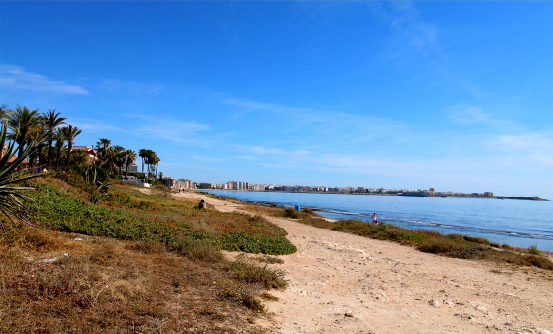 For sale of penthouse in Torrevieja