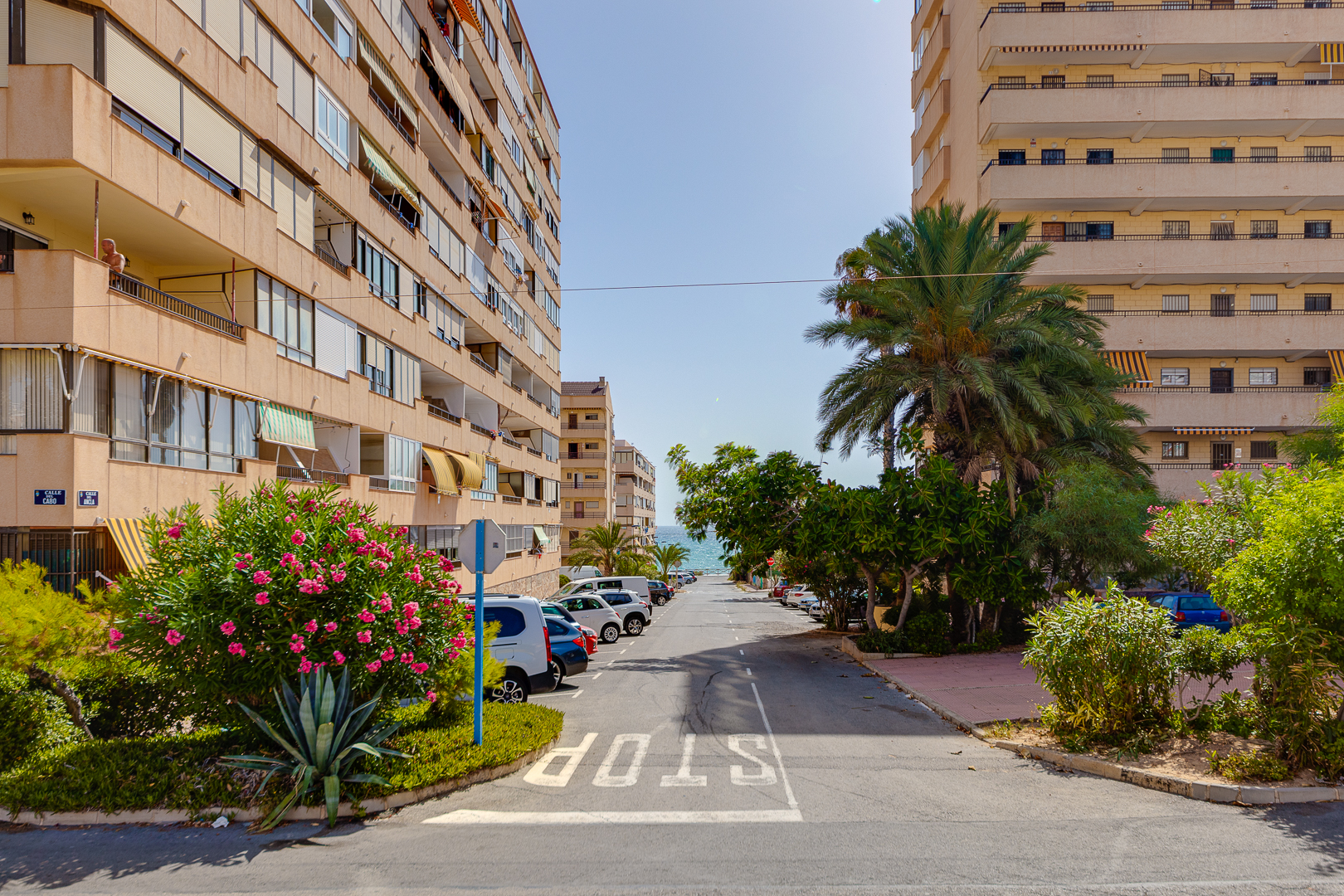Surroundings