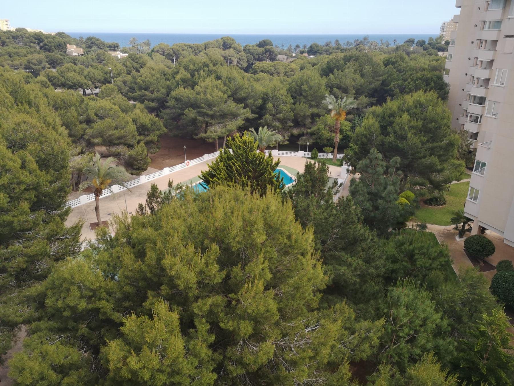 For sale of apartment in Orihuela Costa