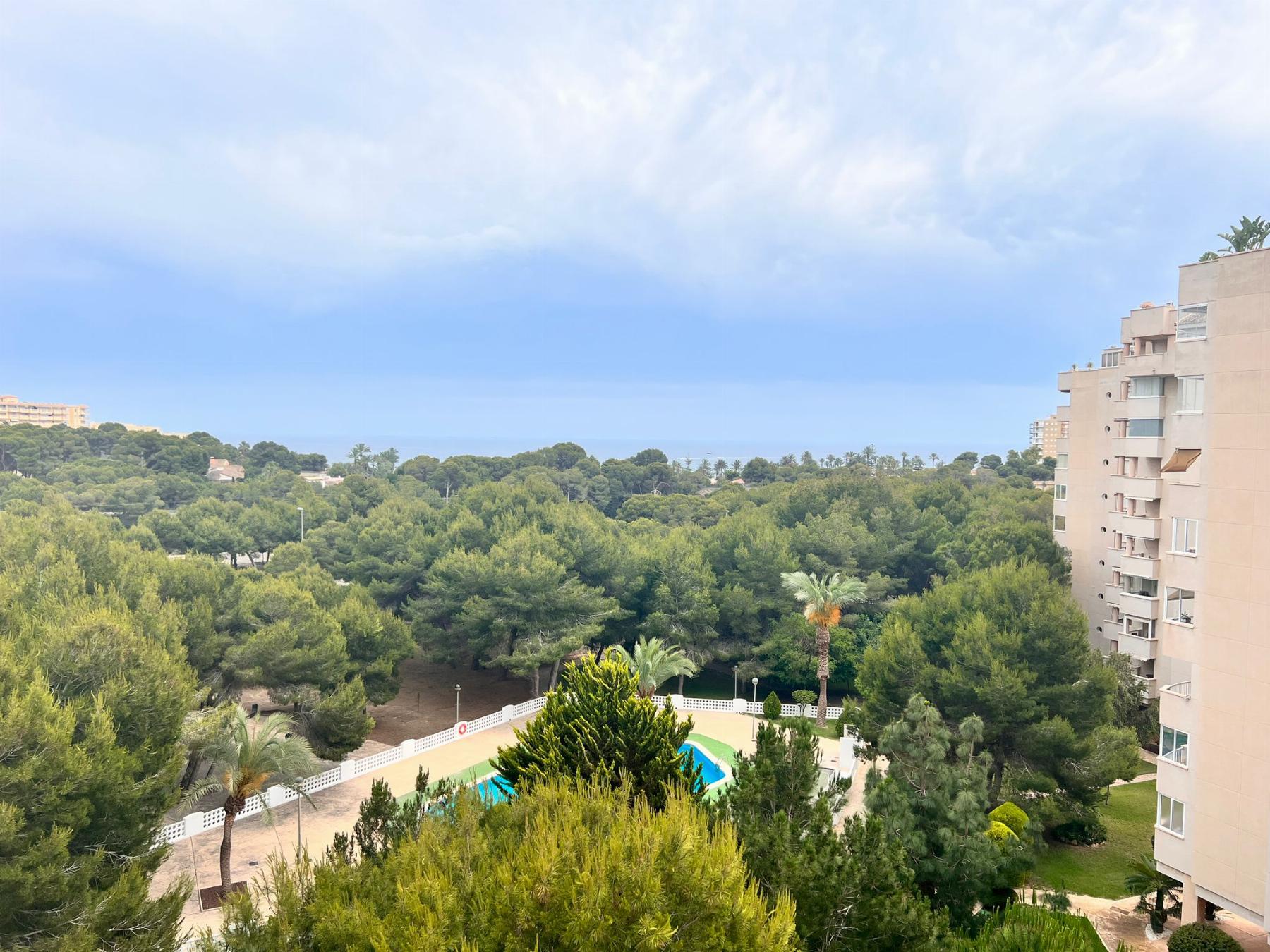 For sale of apartment in Orihuela Costa