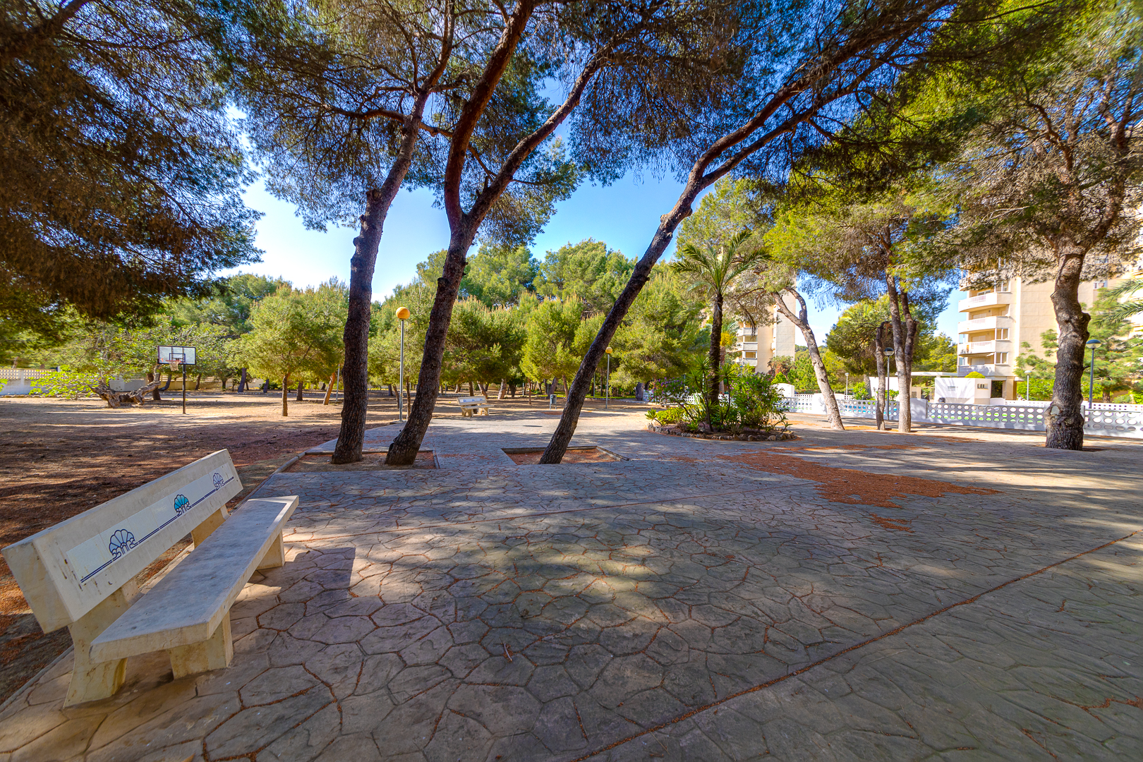 For sale of apartment in Orihuela Costa