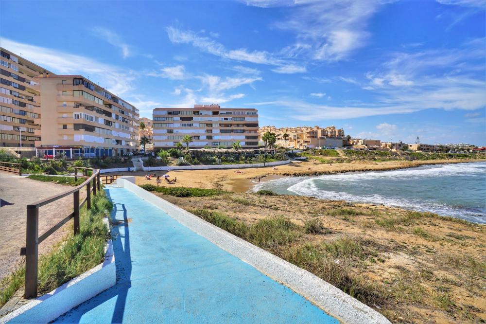 For rent of office in Torrevieja