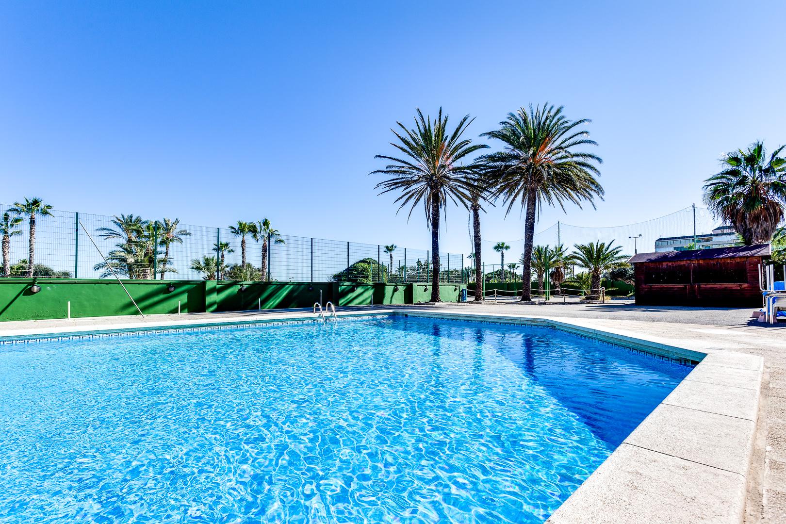For rent of office in Torrevieja