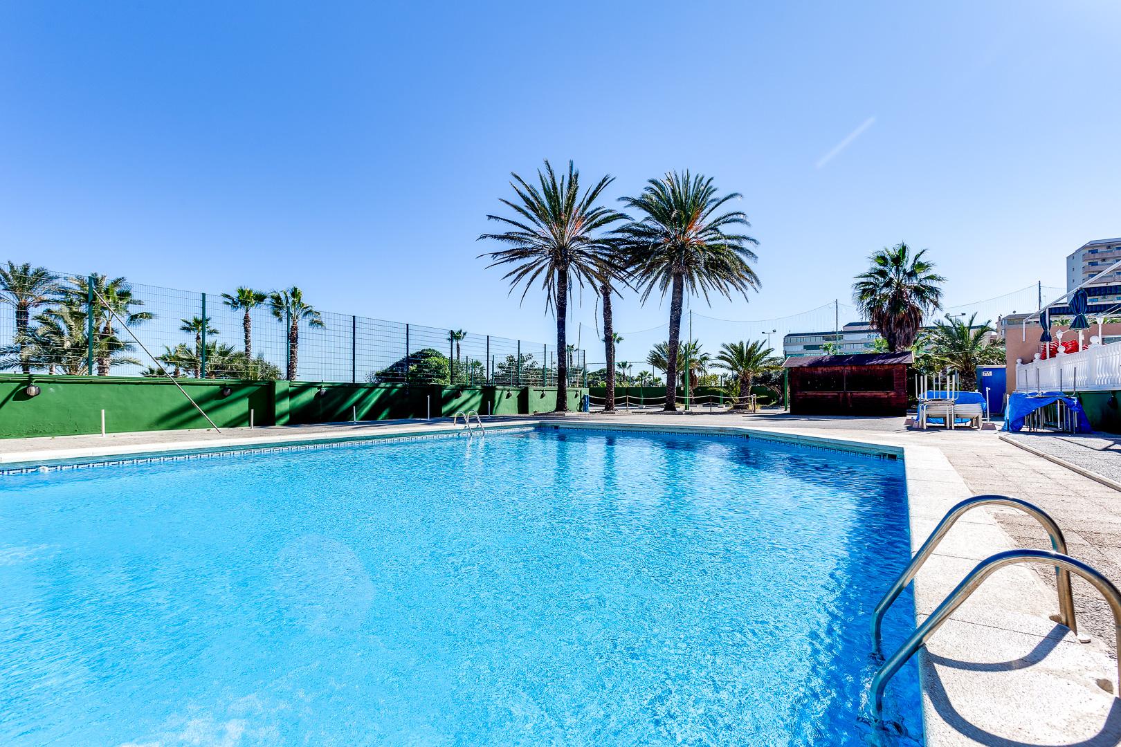For rent of office in Torrevieja