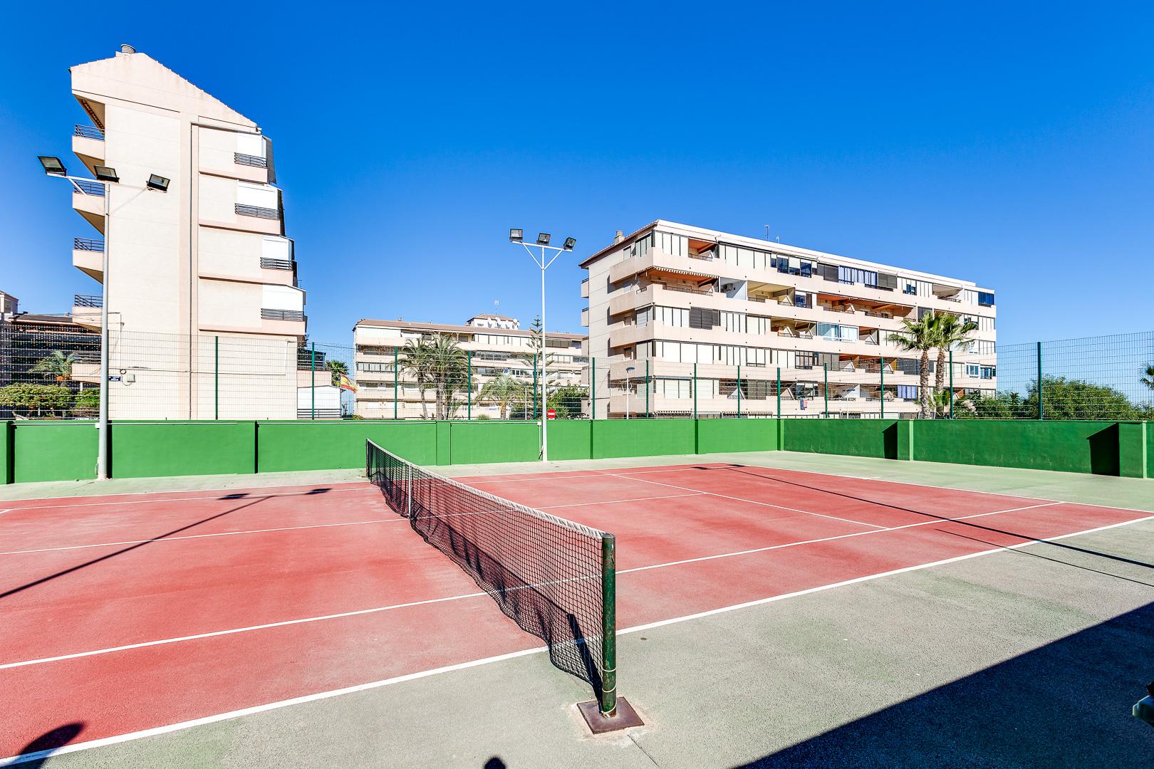 For rent of office in Torrevieja
