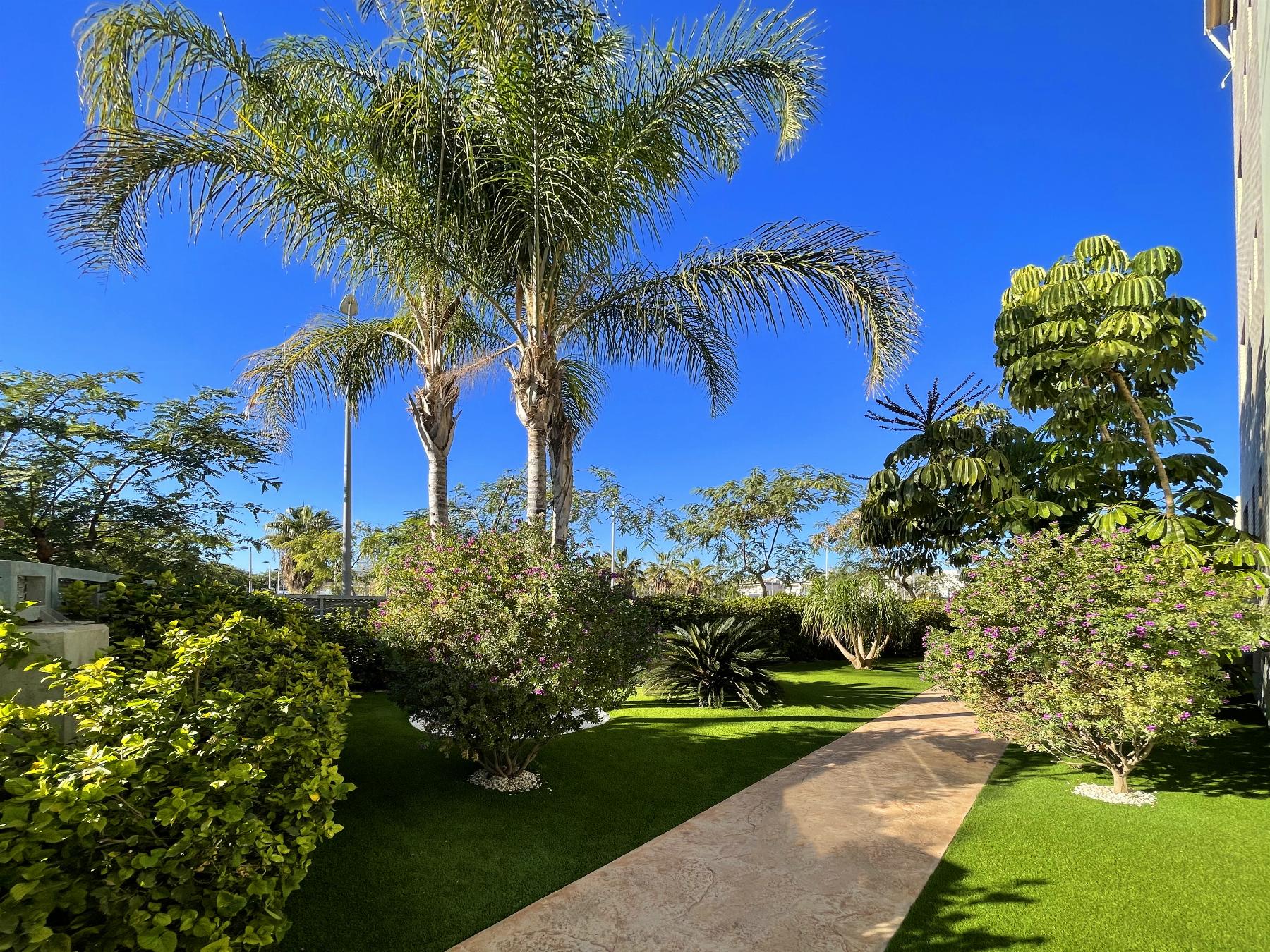 For sale of apartment in Pilar de la Horadada