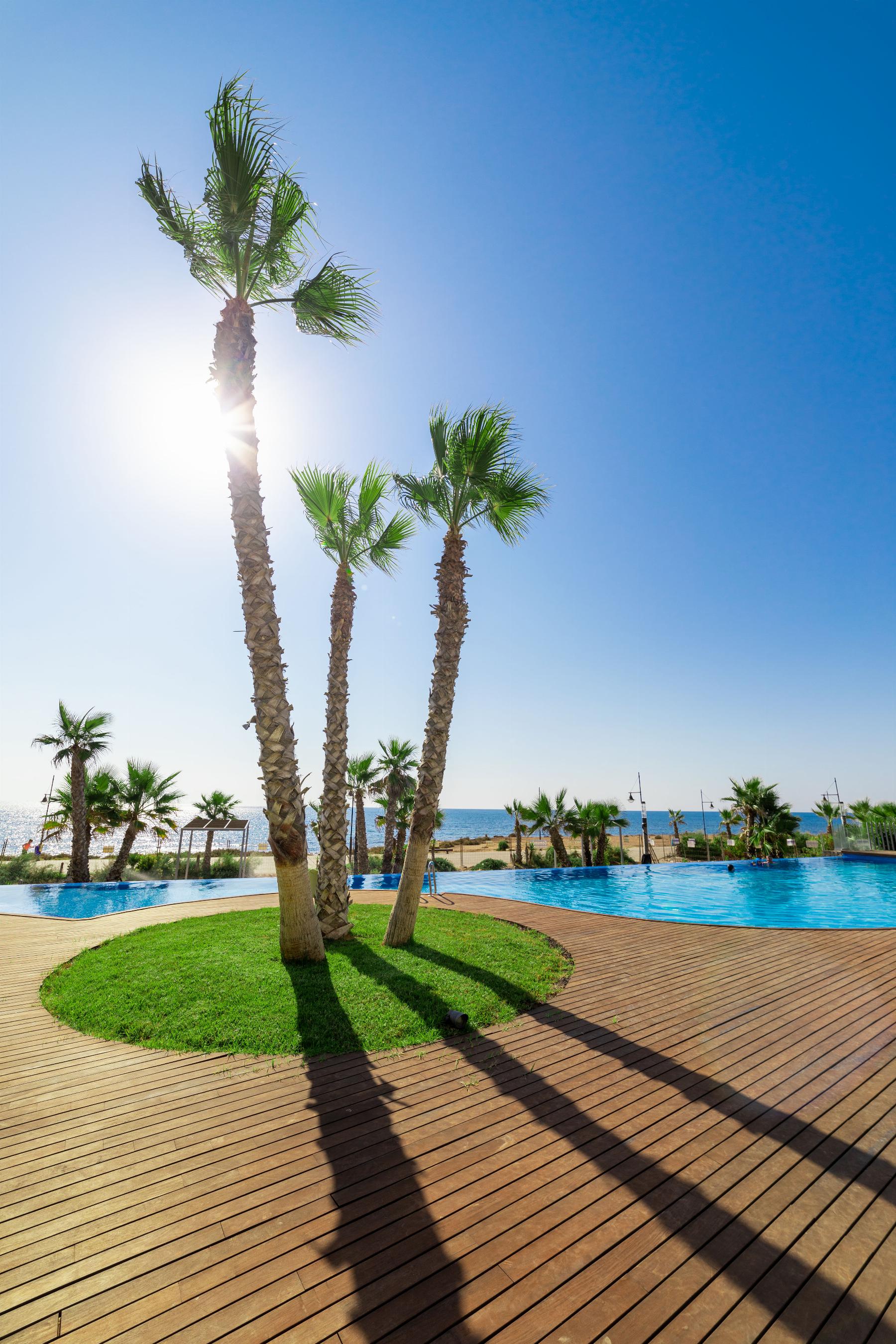 Verkoop van appartement in Torrevieja