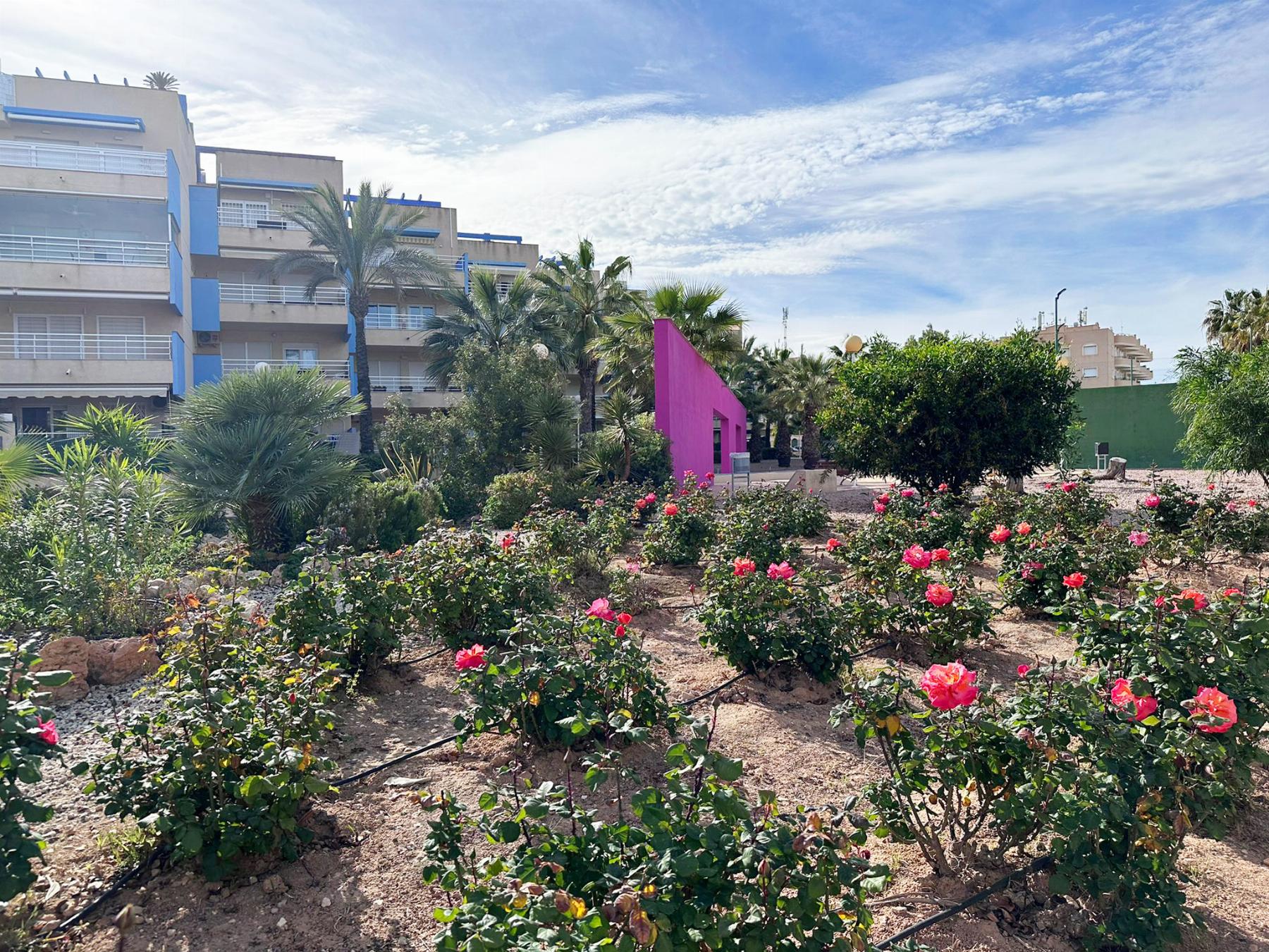 For sale of apartment in Orihuela Costa