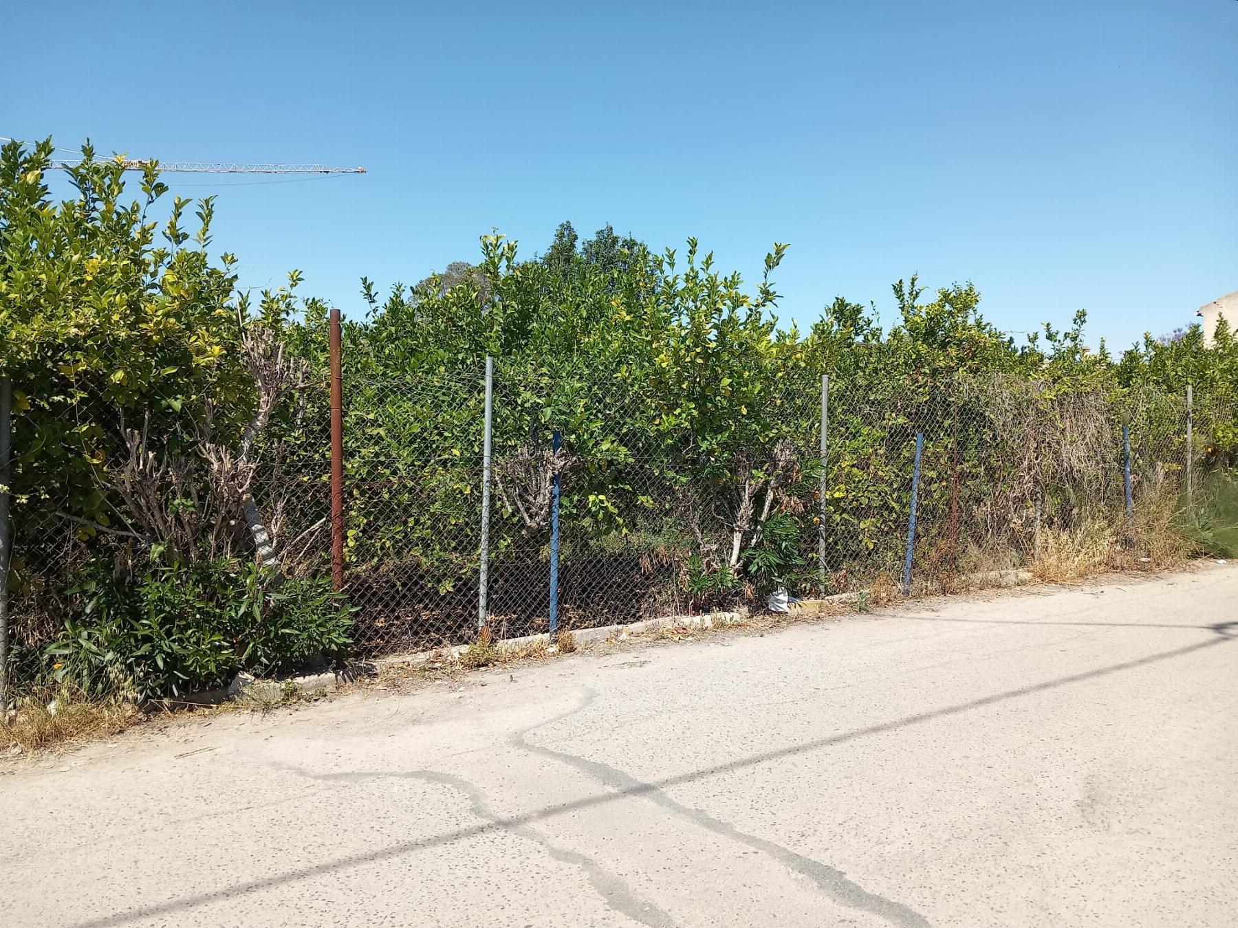 For sale of land in Los Dolores