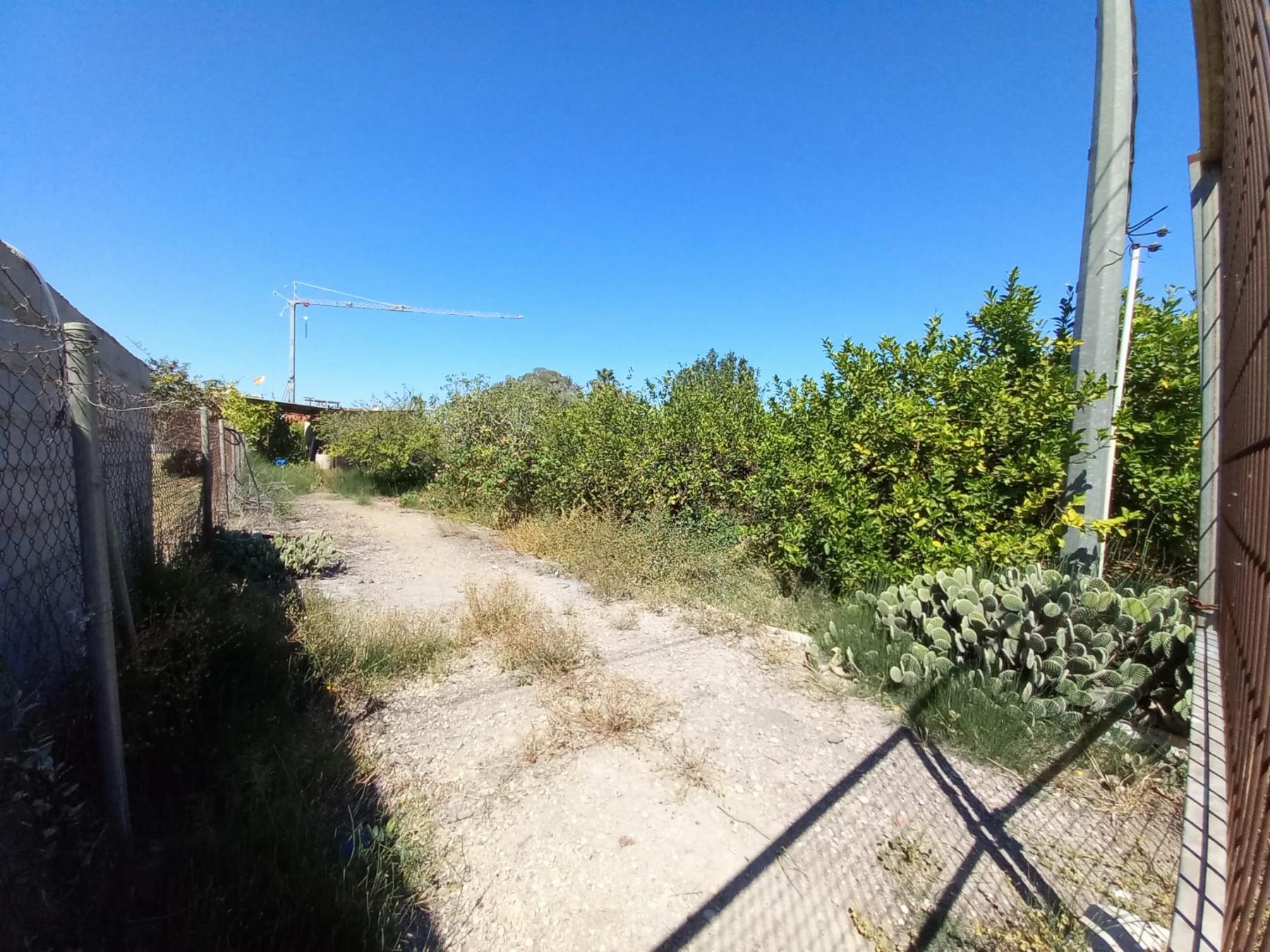 For sale of land in Los Dolores