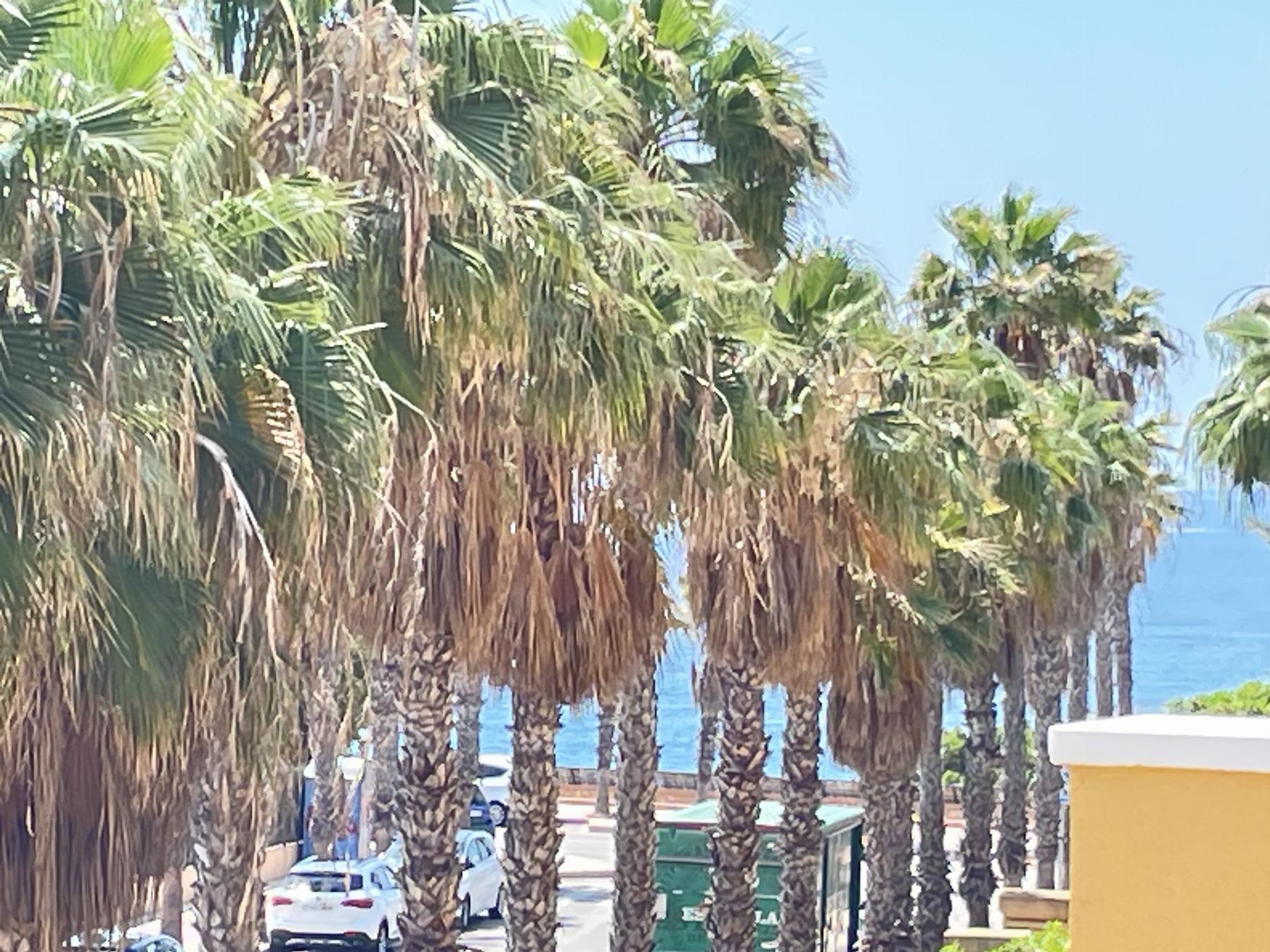 For sale of apartment in Orihuela Costa