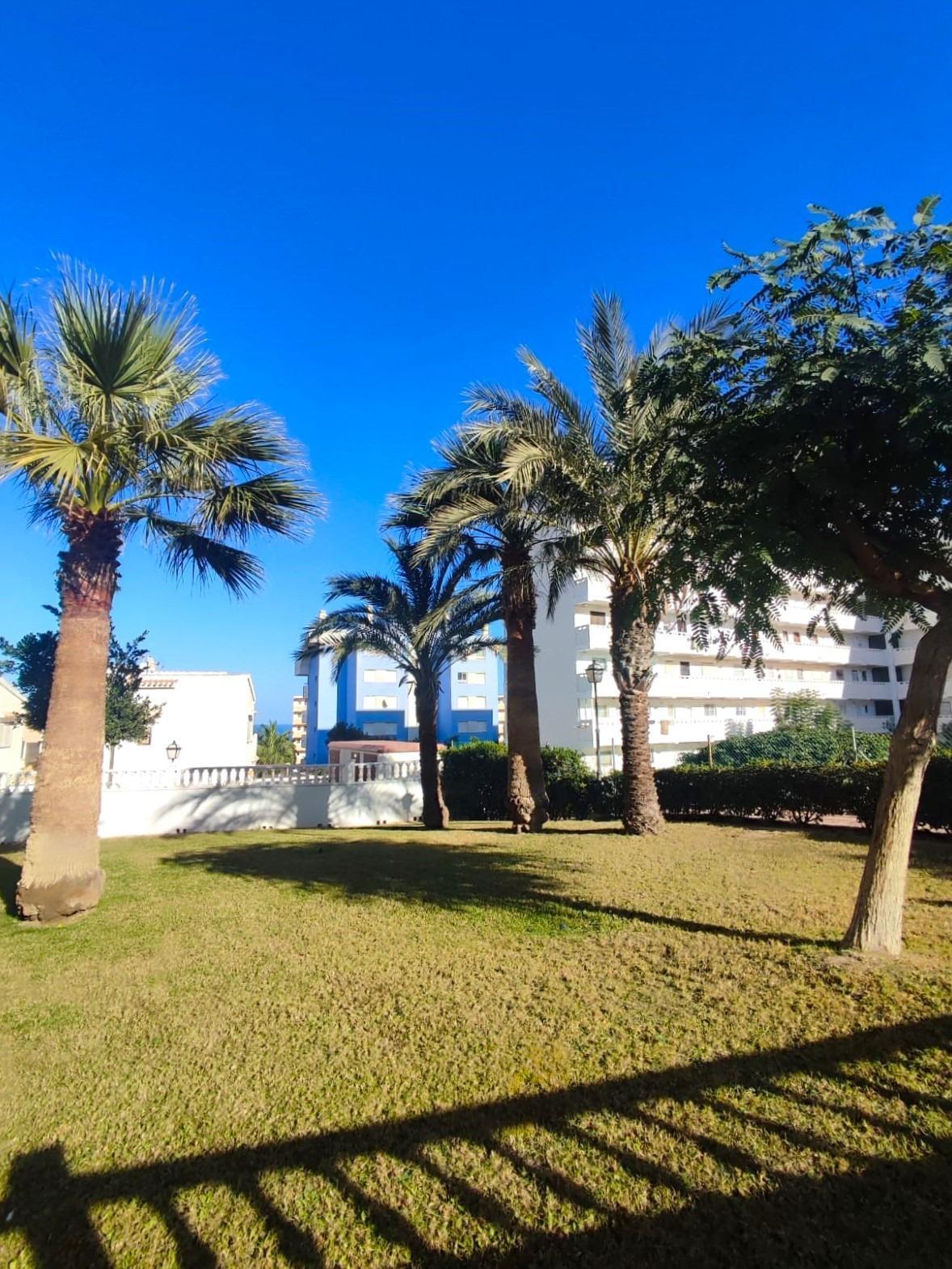 For sale of study in La Mata