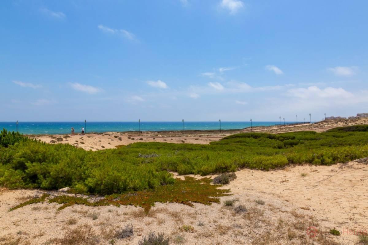 For sale of study in La Mata