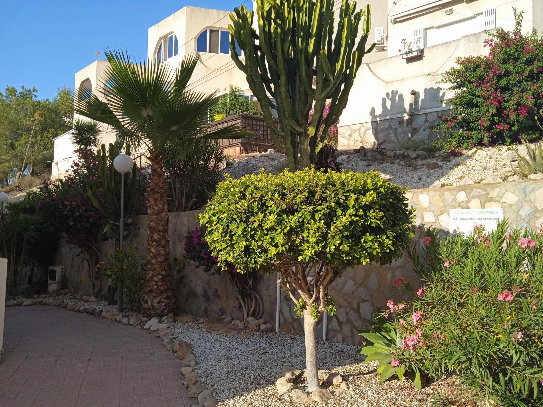 Venta de apartamento en San Miguel de Salinas
