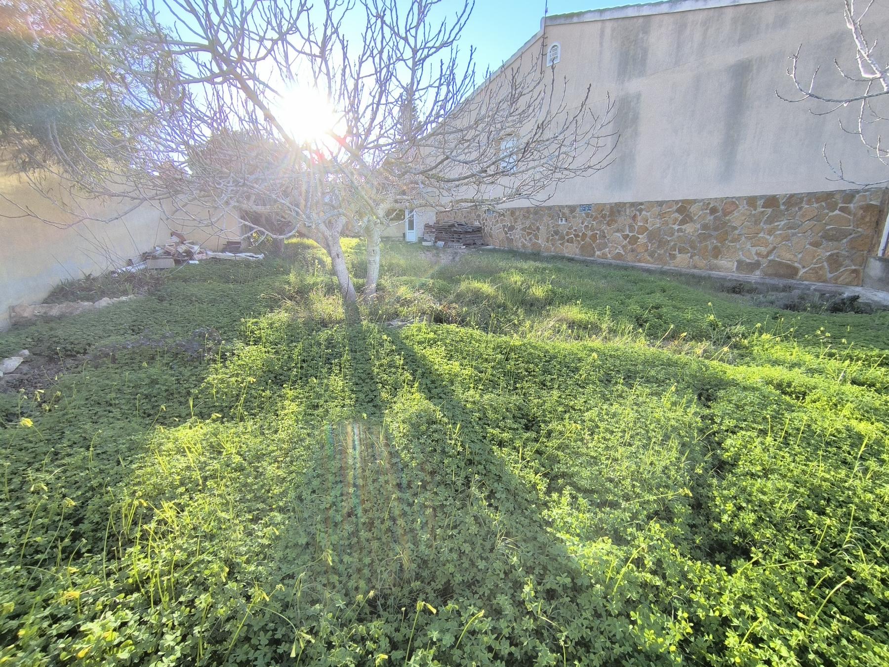 Jardín Jardín