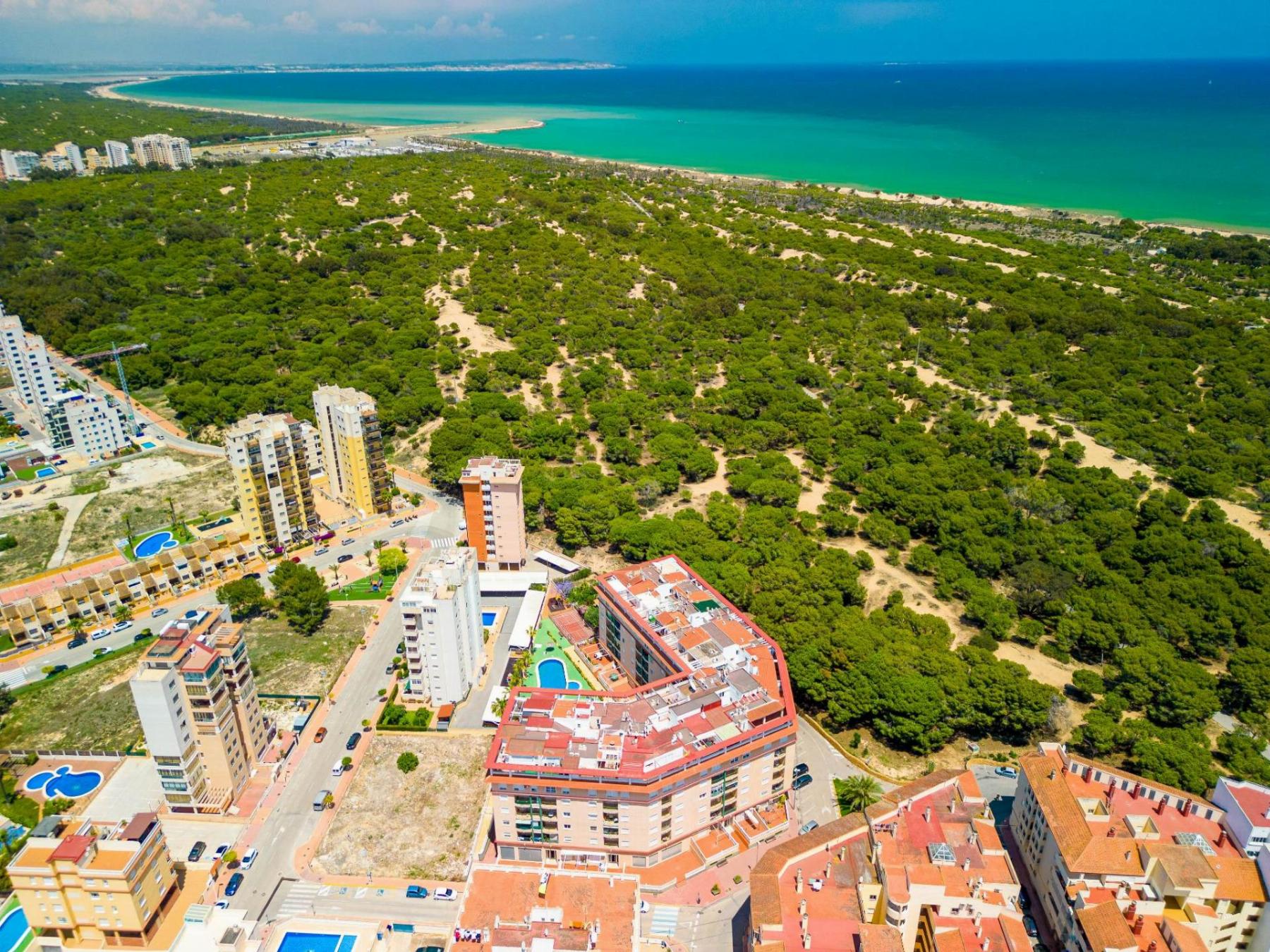 For sale of apartment in Guardamar del Segura
