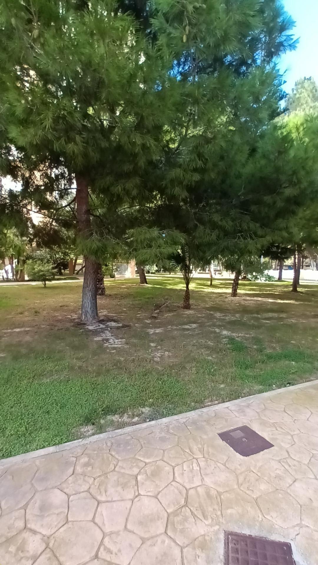 Venta de apartamento en Orihuela Costa Venta de apartamento en Orihuela Costa