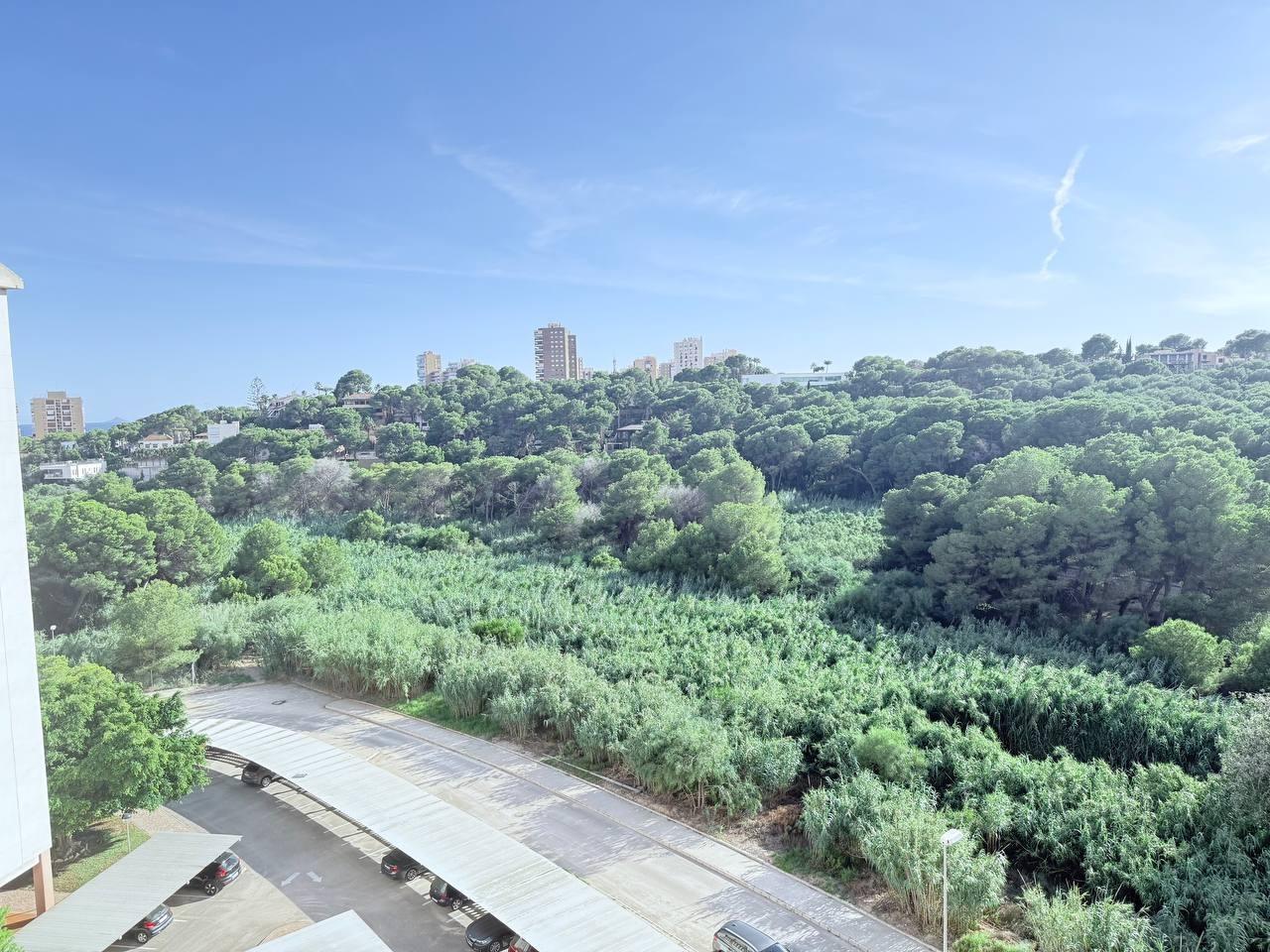 Venta de apartamento en Orihuela Costa Venta de apartamento en Orihuela Costa