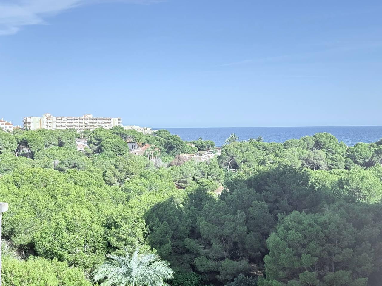 Venta de apartamento en Orihuela Costa Venta de apartamento en Orihuela Costa