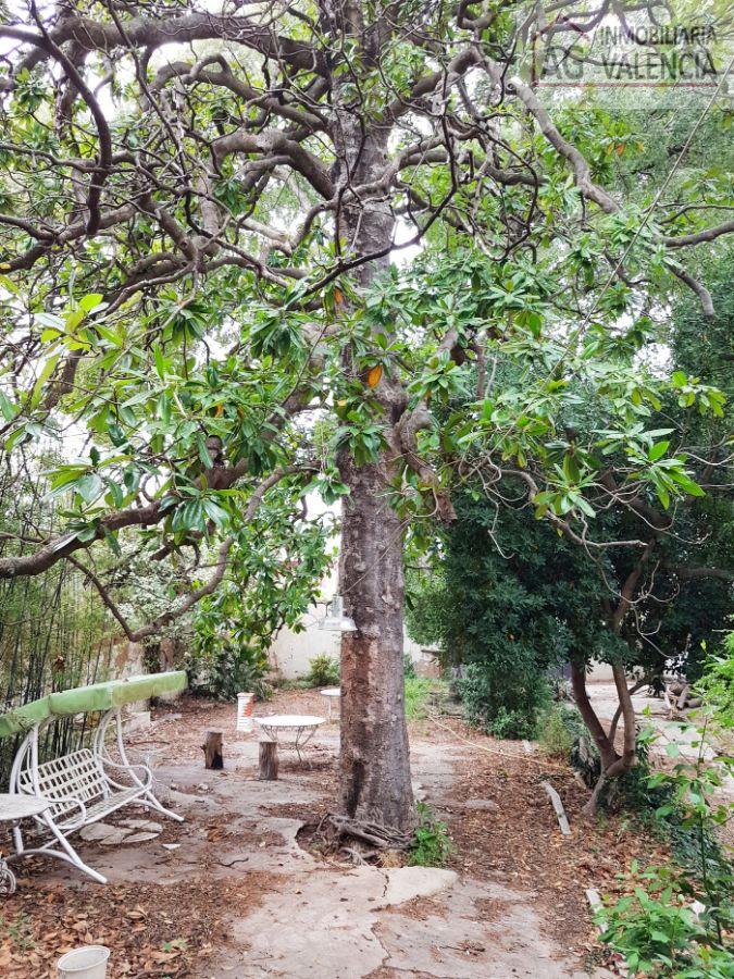 Jardín