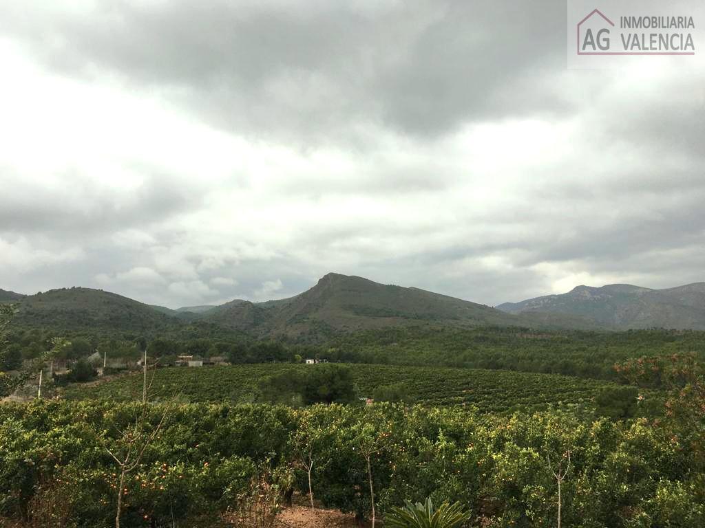 Venta de finca rústica en Torres Torres